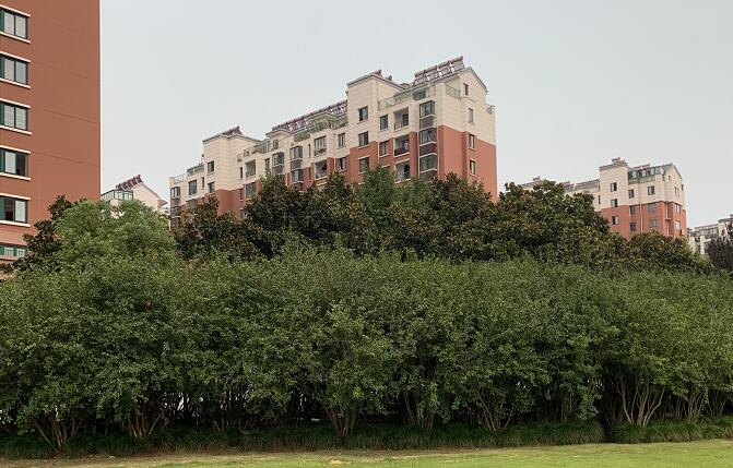 拼多多砍价有风险吗