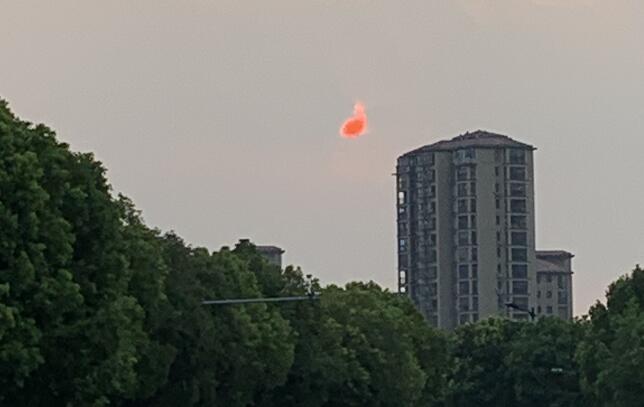 白晓燕命案解密