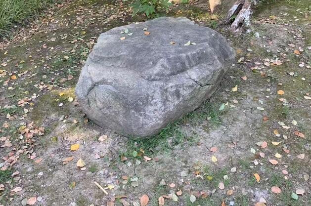 任志强谈青岛房价走势