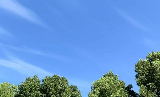 红星照耀中国每章概括