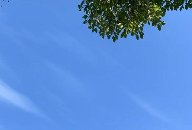 红星照耀中国每章感悟