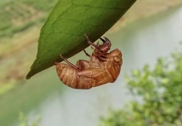 按哪里马上能拉出屎