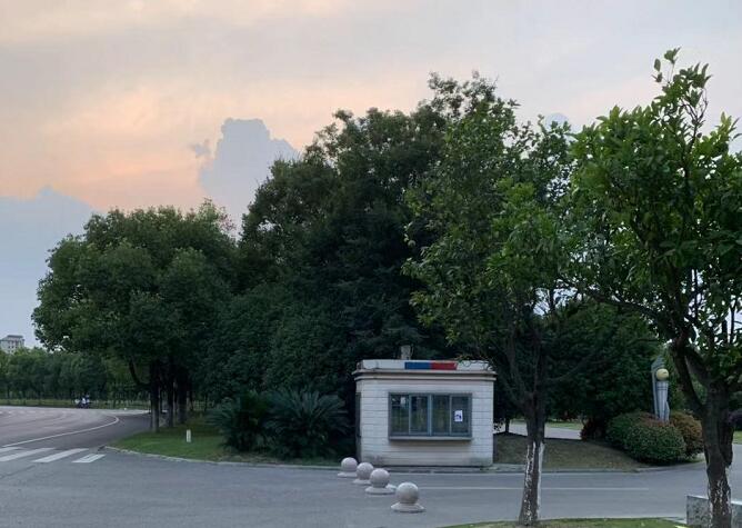 兰香子的功效与作用