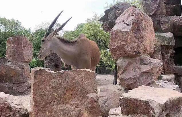 四维空间的生物就是鬼