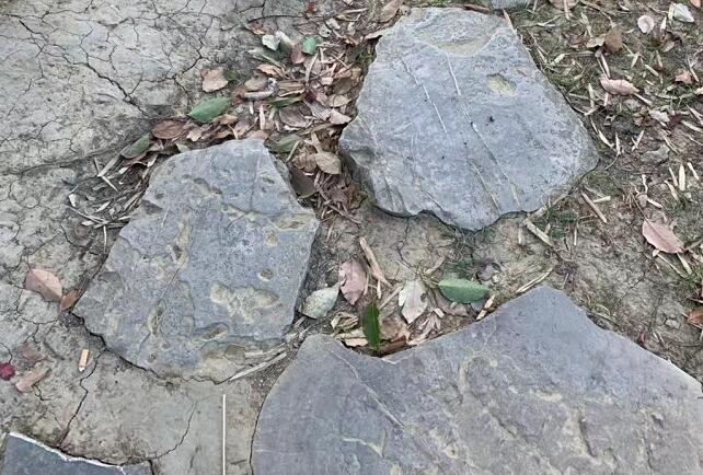 中国商人被勒死在孟加拉国