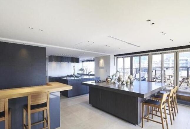 家里放一物绝对没蟑螂