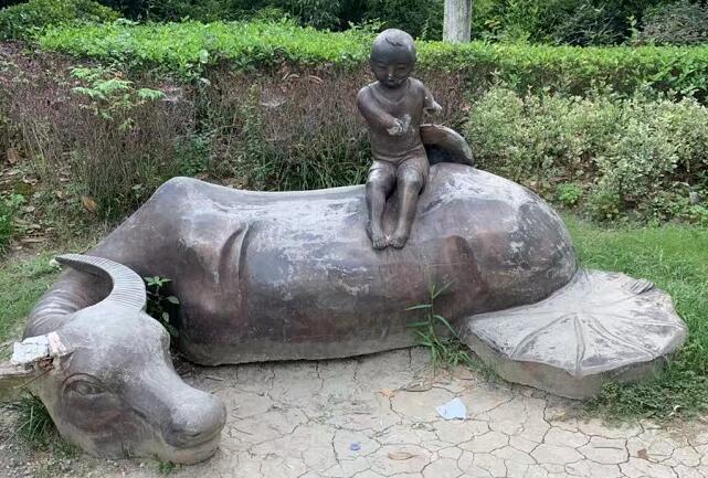 网上车管所查询车主