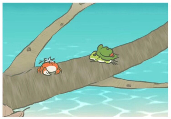 满天星花语和寓意