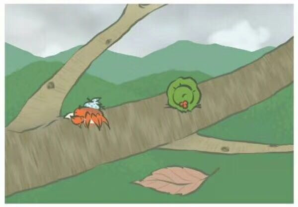 雪莲果的作用与功效