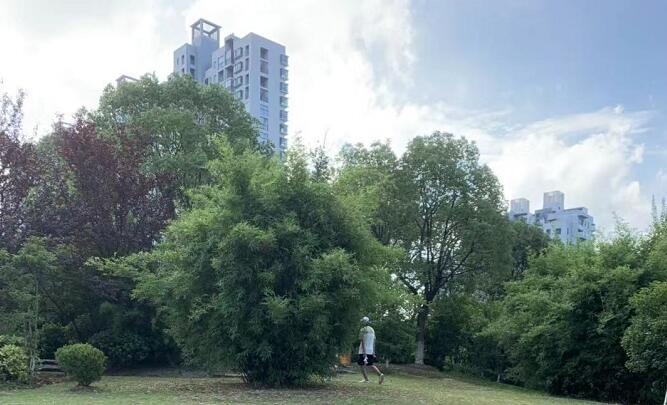 覆盆子对女性功效