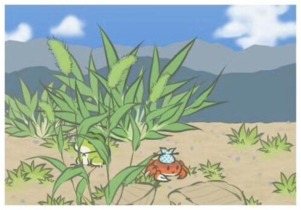 赛乐赛减肥药有效果吗