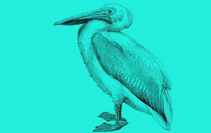 珠峰上的灵异事件