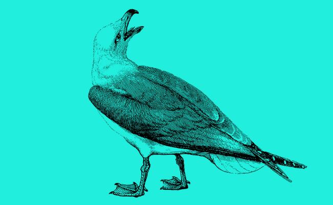 中国多重人格真实案例