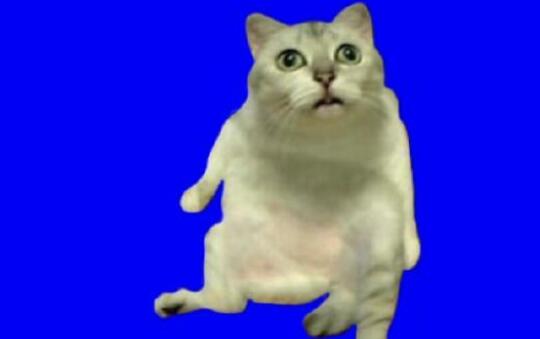 奇怪的知识增加了