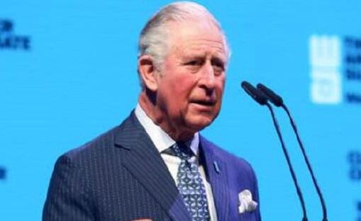 查尔斯王子核酸检测呈阳