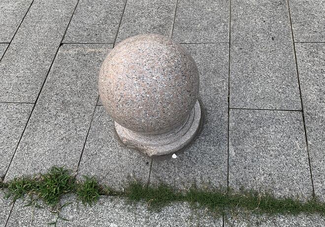 男人可以吃鹅蛋吗？