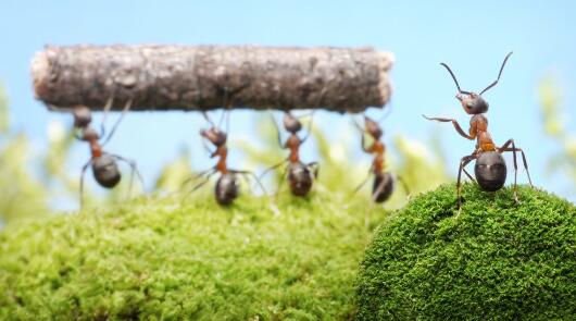 索尼回应投资哔哩哔哩动画