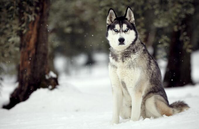 江苏一教师让女学生喊老公
