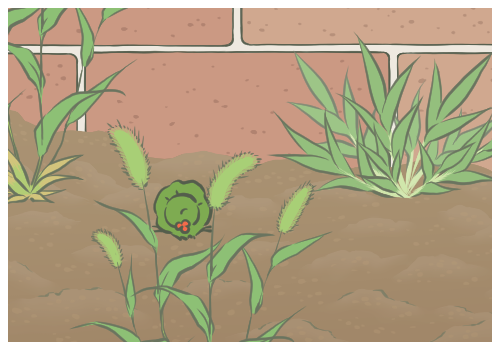 熟地黄的功效与作用