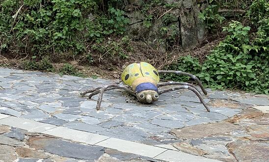 佟丽娅回应牵手神秘男子