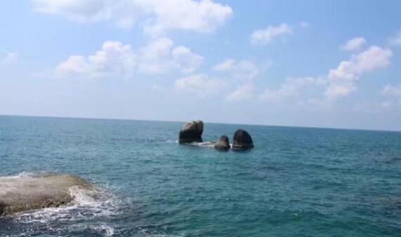 福建一鲨鱼馆发生致人死亡事故