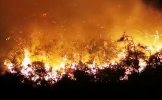 广东汕头南澳发生森林火灾