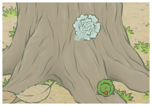 火龙果的功效与作用