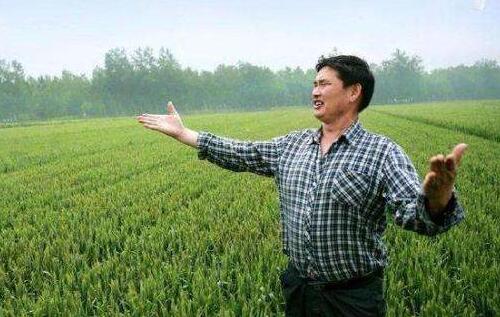 媒体人张晓磊爆料原文