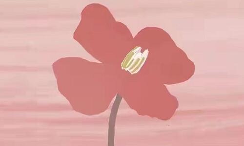 耐克撒旦鞋惹众怒