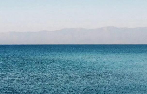 海洋中藤壶到底有多可怕