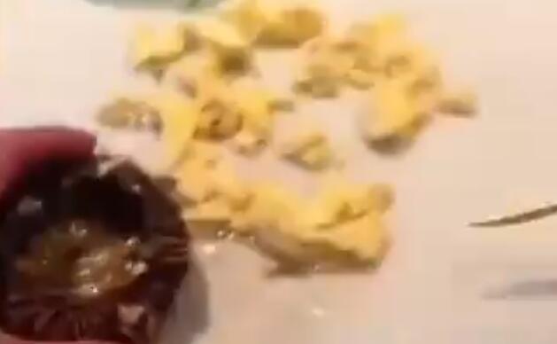 游客投诉海胆蒸蛋没海胆