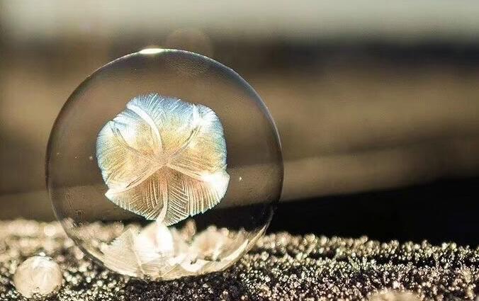 首个将比特币作为法定货币的国家