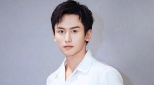 胡锡进张哲瀚在政治上有点二