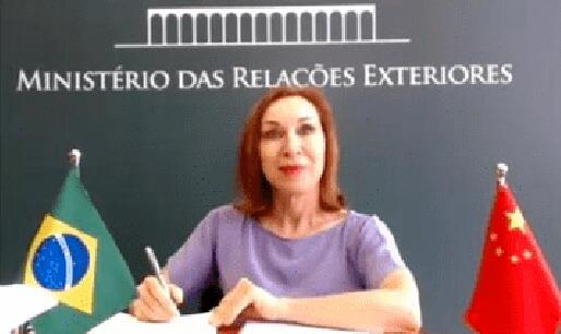 中国驻里约总领馆遭袭事件