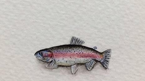 导游举鲤鱼旗参观中山陵被怒斥