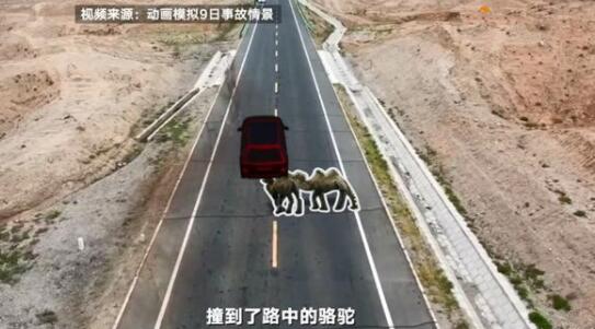 于月仙车祸事故司机负全责