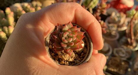 女生主动让男生自己比