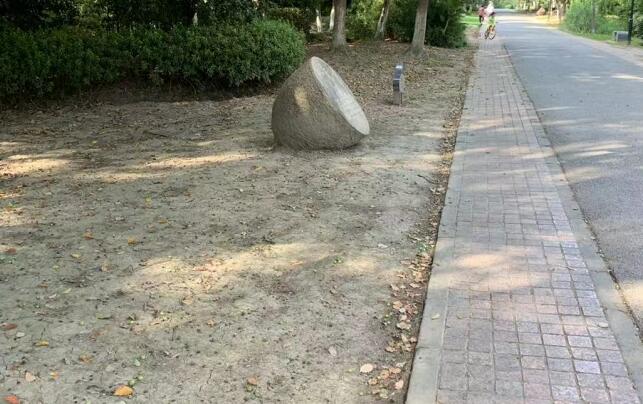 巴赫力挺中国被侮辱