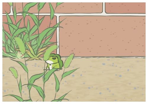 养猫对女生下面的危害