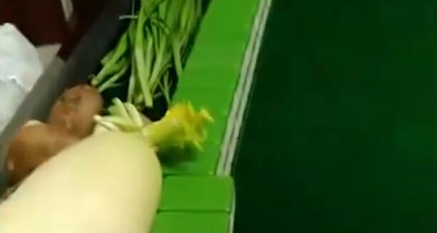 上海大叔打麻将拿蔬菜当筹码