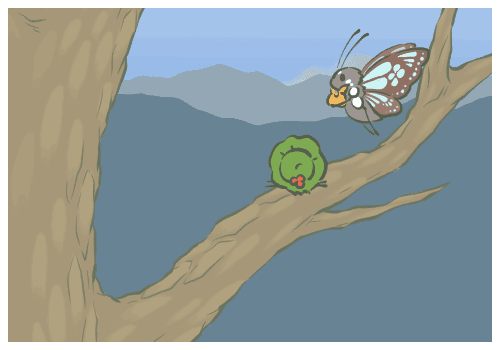 榴莲不熟要怎么放才能熟