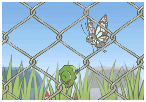 车臣领导人被授上将军衔