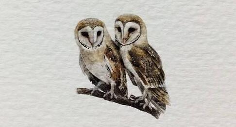 夕阳西下打一准确生肖