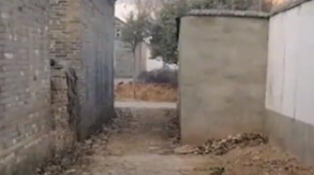 男子3年后回家发现巷口被邻居占一半