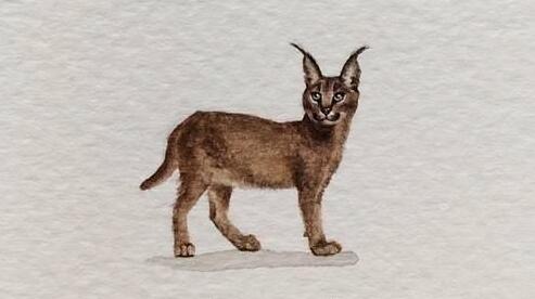 小狗被抱养一个月狗妈妈突然出现