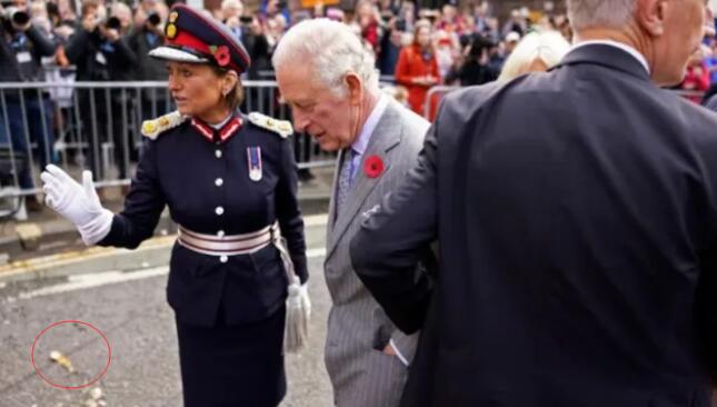 男子向英国国王丢鸡蛋被罚款100英镑