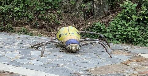 女子堵高速拍下百辆车占应急车道