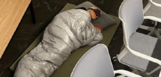 睡公司的推特女总监被炒