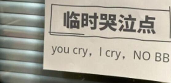 如何看待公司设立临时哭泣点