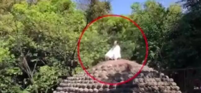 女子爬上乐山大佛头顶盘腿打坐